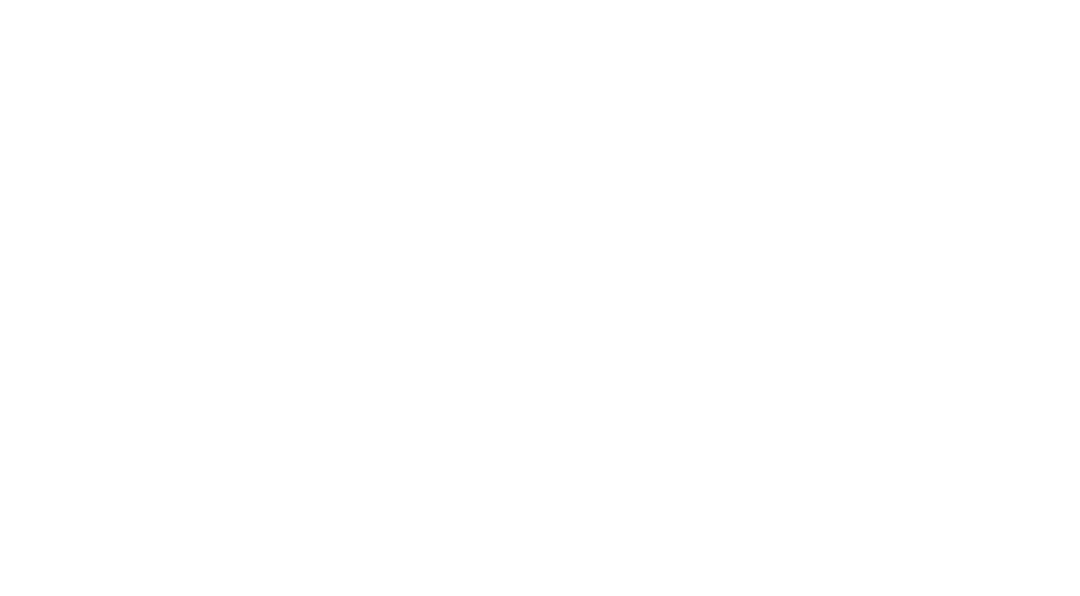 Night Riders Dębica - logo